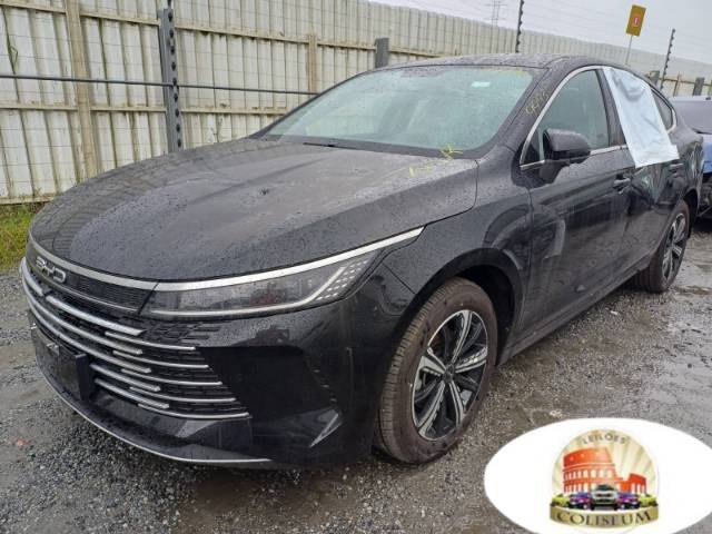 BYD KING 1.5 24/25